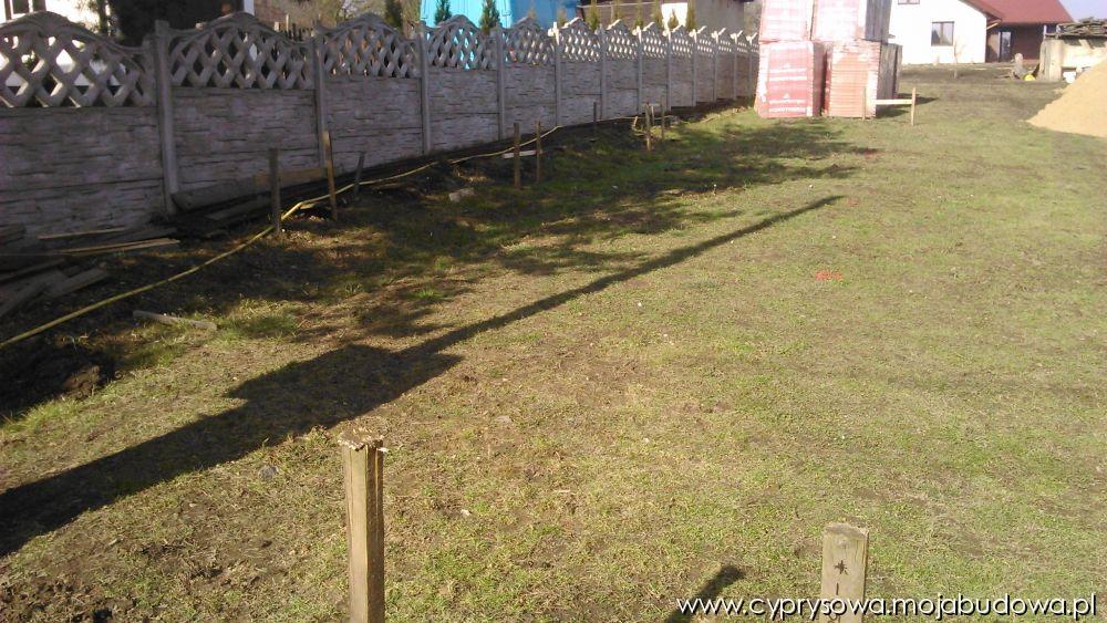 blog budowlany - mojabudowa.pl